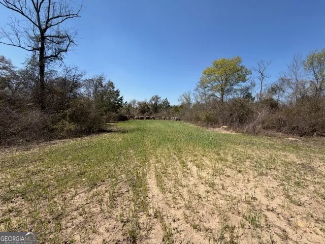 461 Currington RD Mauk, GA 31058