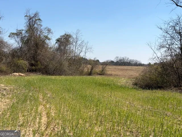 461 Currington RD Mauk, GA 31058