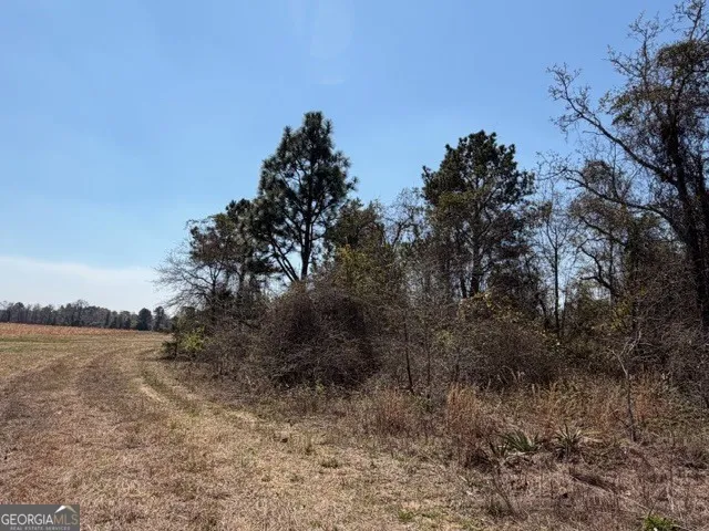 461 Currington RD Mauk, GA 31058