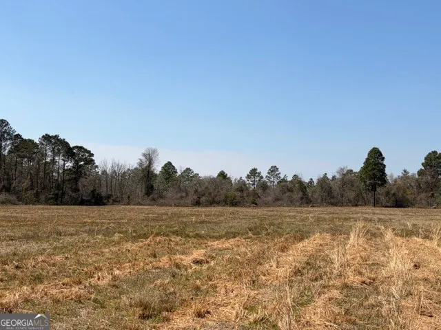 461 Currington RD Mauk, GA 31058