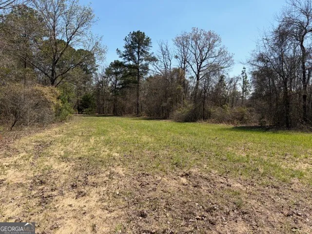 461 Currington RD Mauk, GA 31058