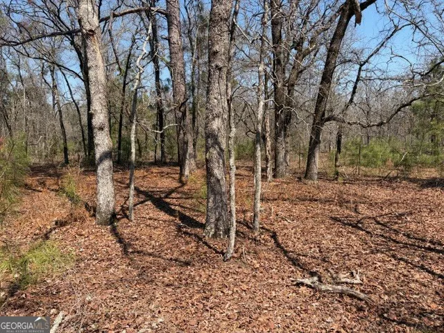461 Currington RD Mauk, GA 31058