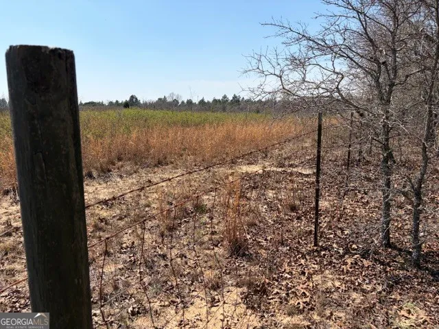 461 Currington RD Mauk, GA 31058