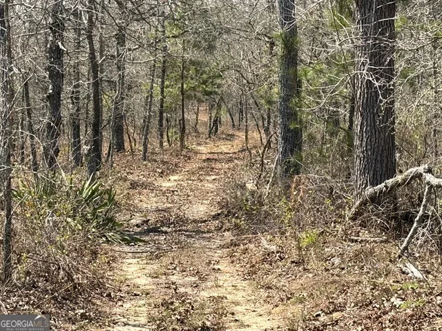 461 Currington RD Mauk, GA 31058