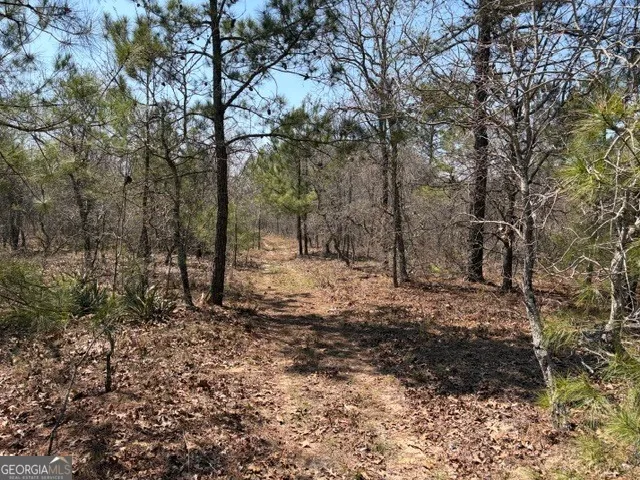 461 Currington RD Mauk, GA 31058