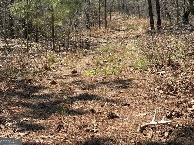 461 Currington RD Mauk, GA 31058