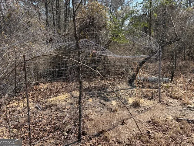 461 Currington RD Mauk, GA 31058