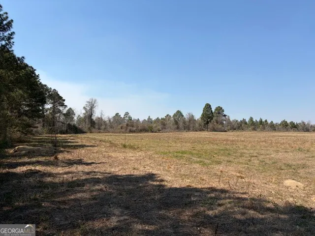 461 Currington RD Mauk, GA 31058