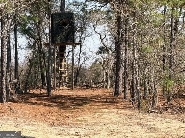 461 Currington RD Mauk, GA 31058