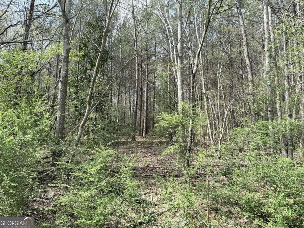 0 Old Columbus RD Bowdon, GA 30108