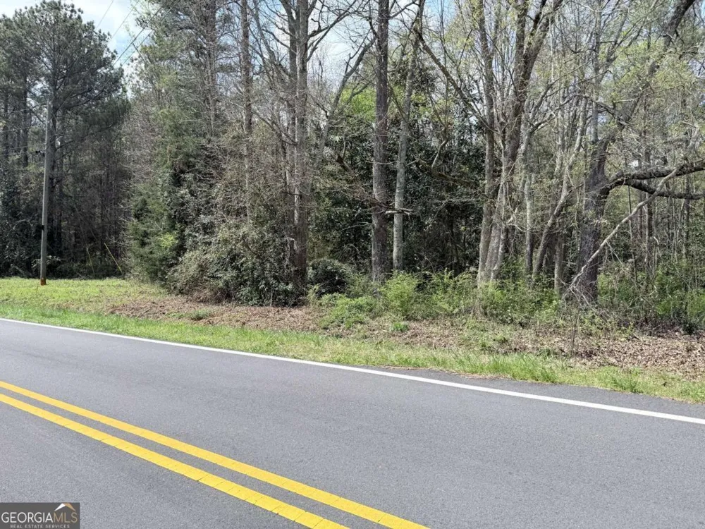 0 Old Columbus RD Bowdon, GA 30108
