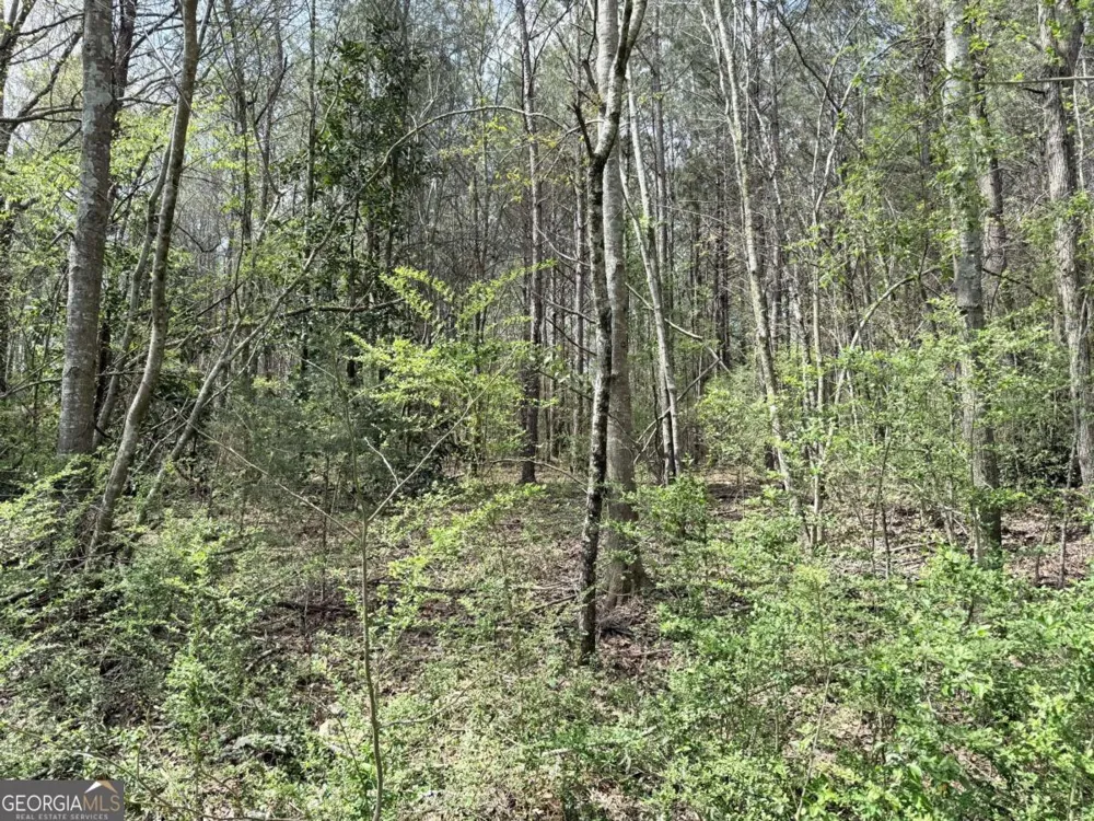 0 Old Columbus RD Bowdon, GA 30108