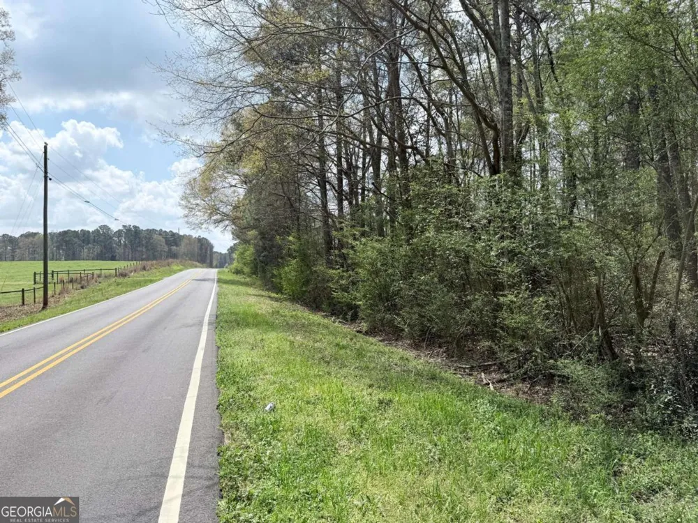 0 Old Columbus RD Bowdon, GA 30108