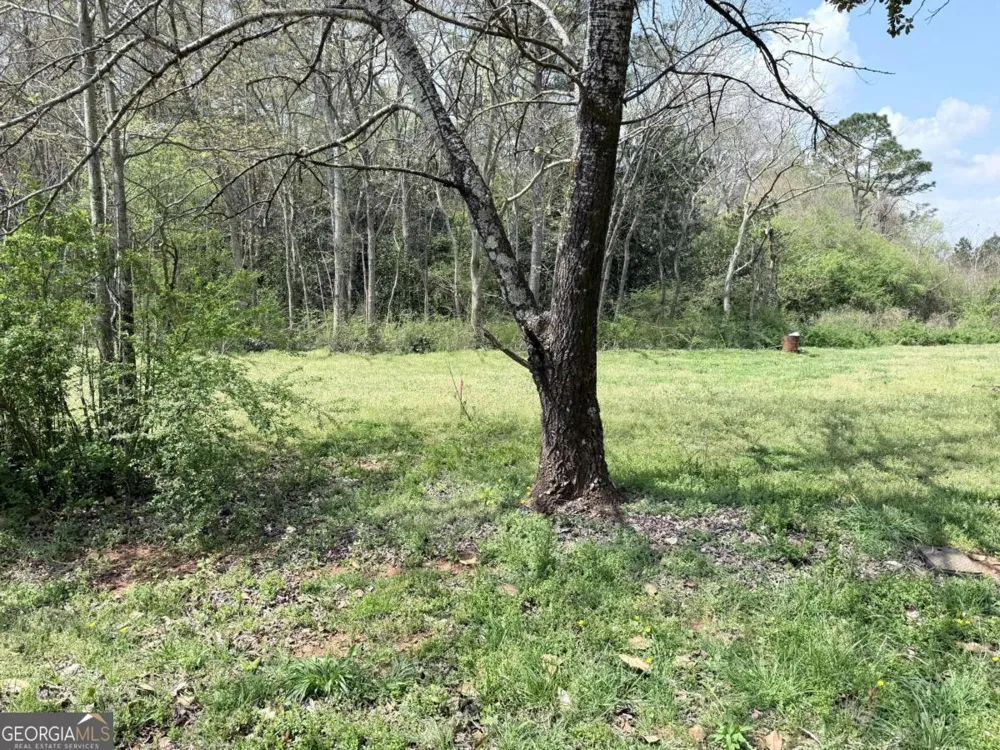 0 Old Columbus RD Bowdon, GA 30108