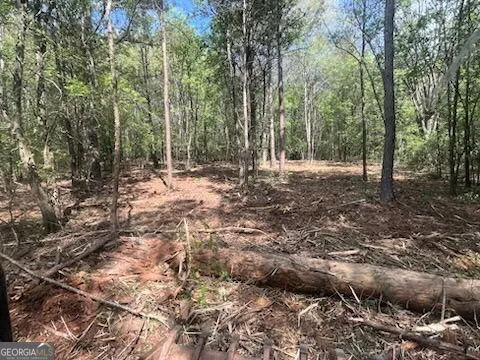 0 Jackson RD Griffin, GA 30223