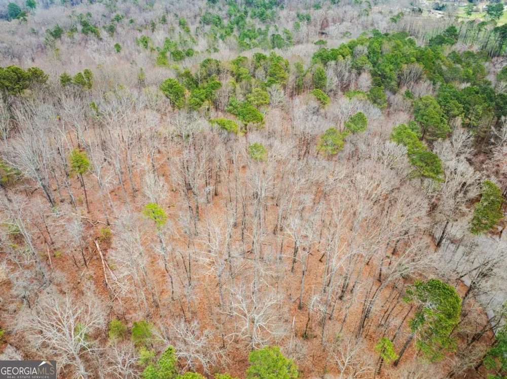 244 Town Creek TRL Jasper, GA 30143