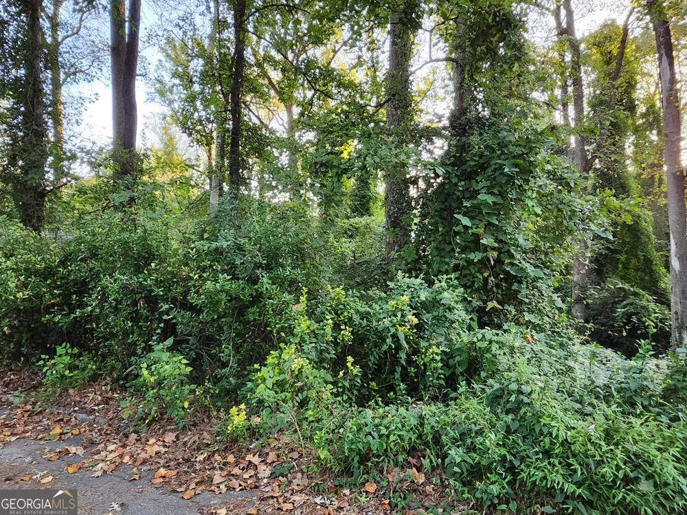 523 Spruce DR Pine Lake, GA 30072