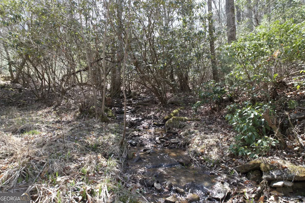 457 Youngblood DR Blairsville, GA 30512