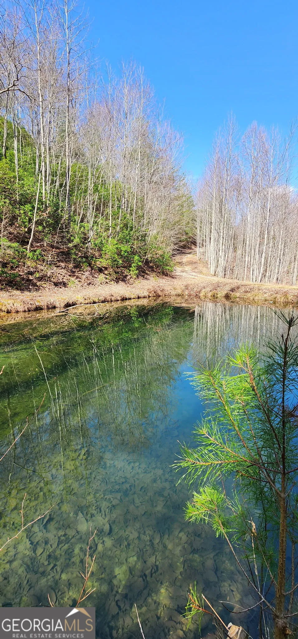 457 Youngblood DR Blairsville, GA 30512