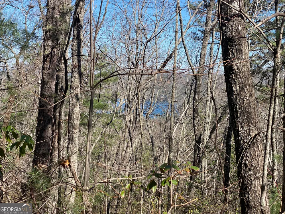 LOT 27 Lake Rabun Bluffs Lakemont, GA 30552