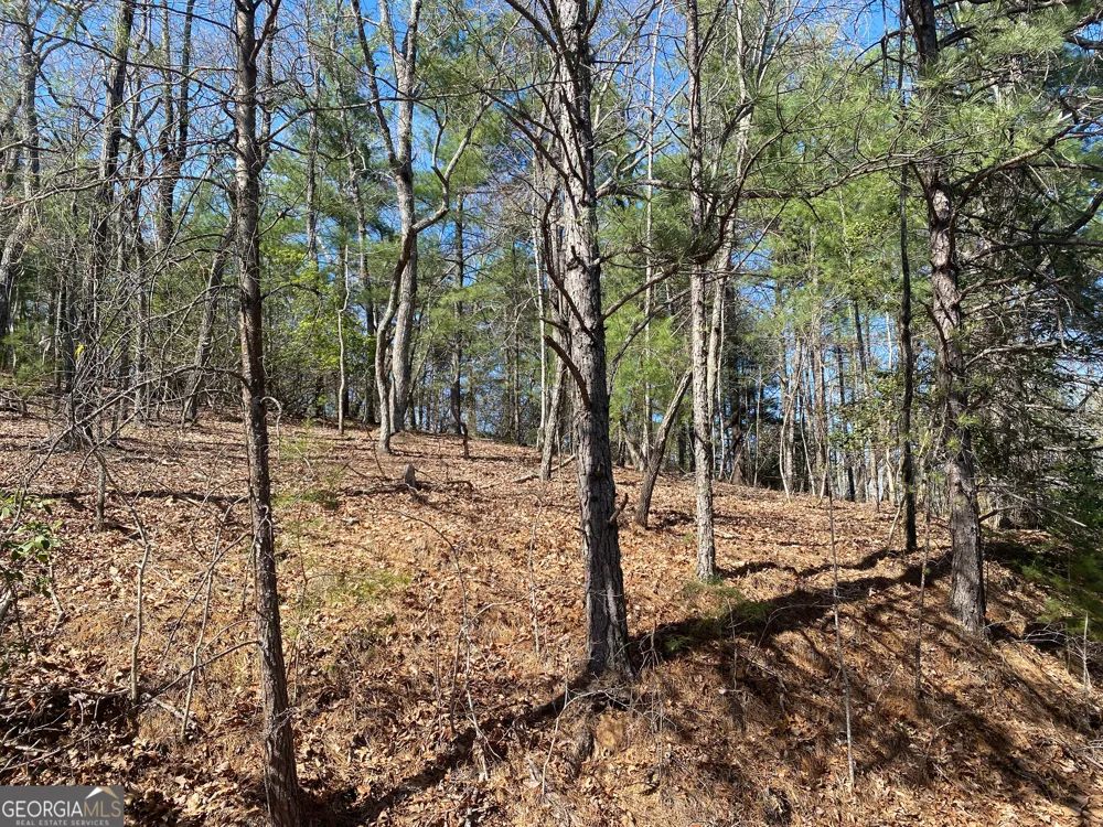 LOT 27 Lake Rabun Bluffs Lakemont, GA 30552