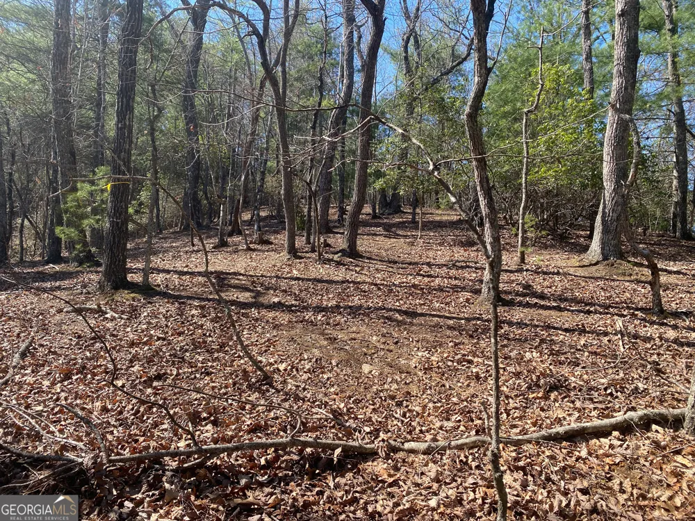 LOT 27 Lake Rabun Bluffs Lakemont, GA 30552