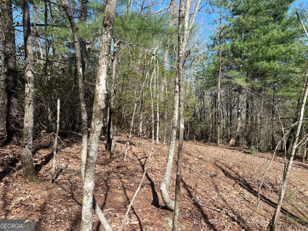 LOT 27 Lake Rabun Bluffs Lakemont, GA 30552
