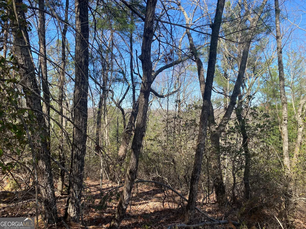 LOT 27 Lake Rabun Bluffs Lakemont, GA 30552