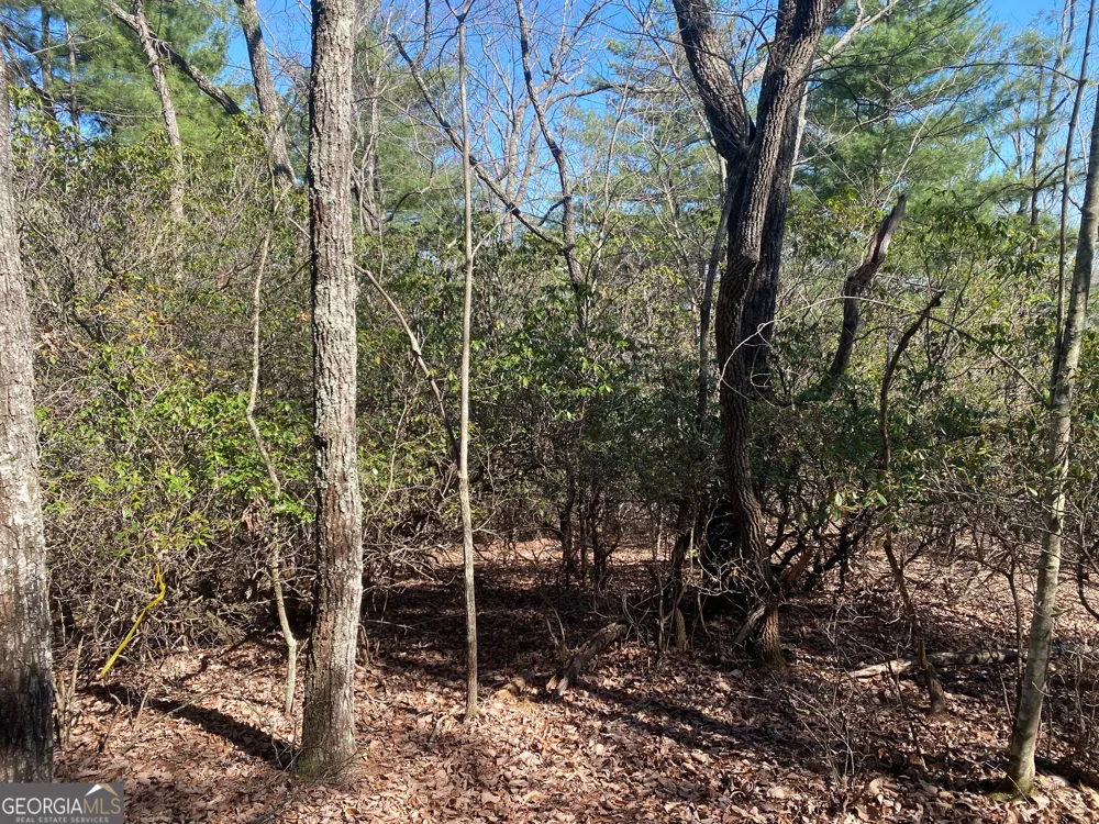 LOT 27 Lake Rabun Bluffs Lakemont, GA 30552