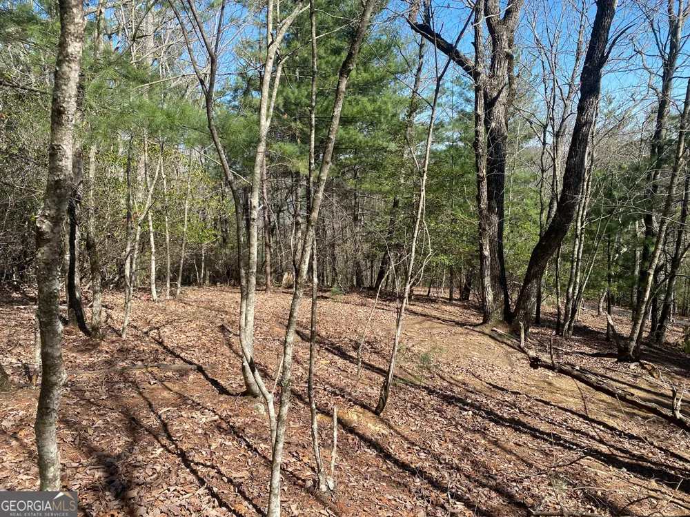 LOT 27 Lake Rabun Bluffs Lakemont, GA 30552