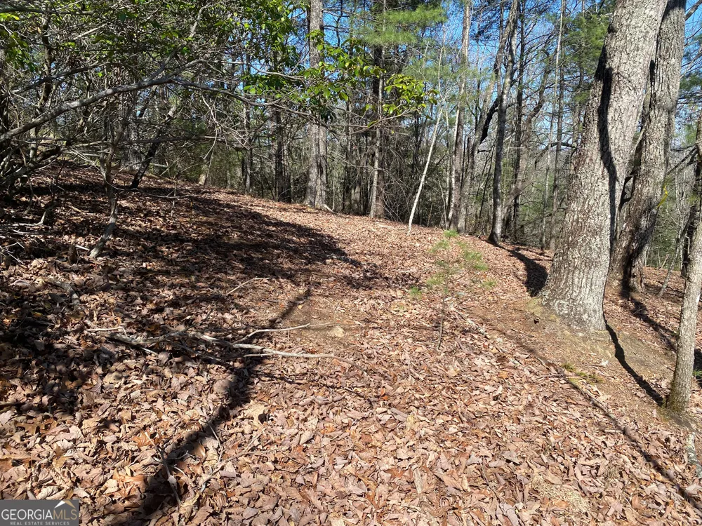 LOT 27 Lake Rabun Bluffs Lakemont, GA 30552