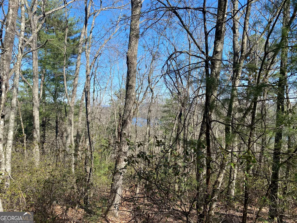 LOT 27 Lake Rabun Bluffs Lakemont, GA 30552
