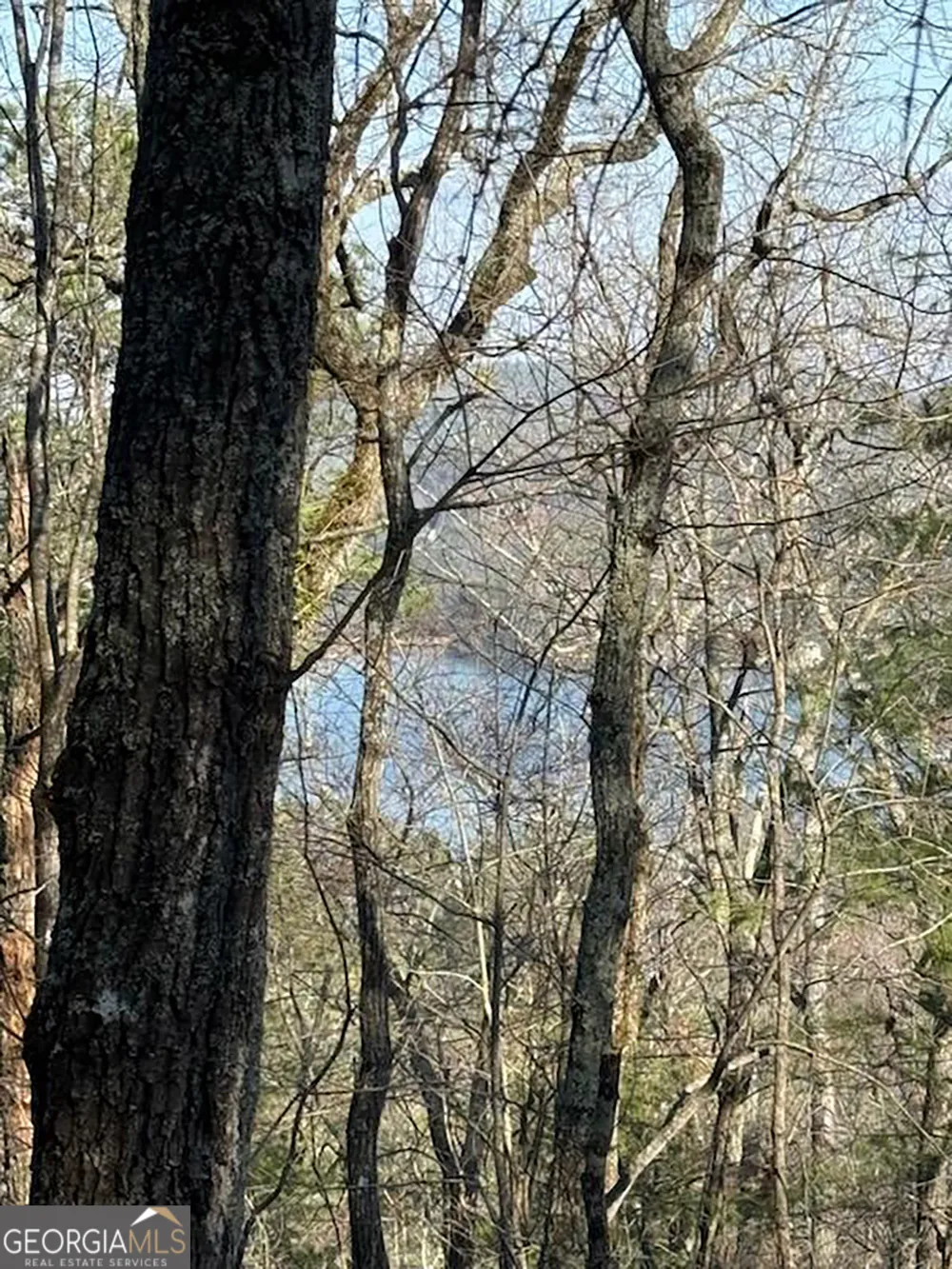 LOT 27 Lake Rabun Bluffs Lakemont, GA 30552