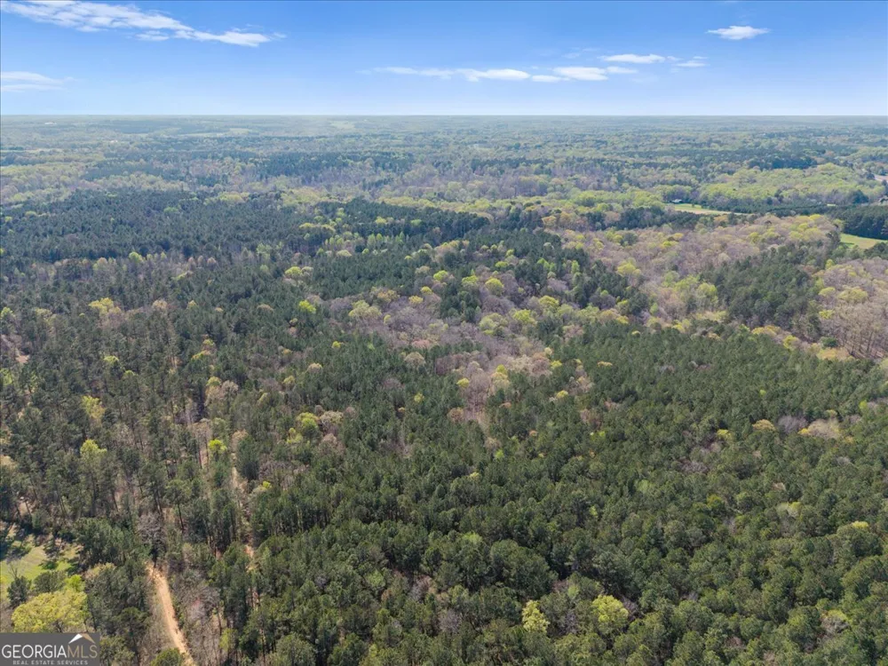 198 +/- ACRES Apalachee Woods TRL Buckhead, GA 30625