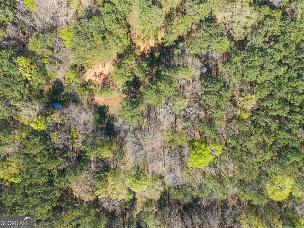 198 +/- ACRES Apalachee Woods TRL Buckhead, GA 30625