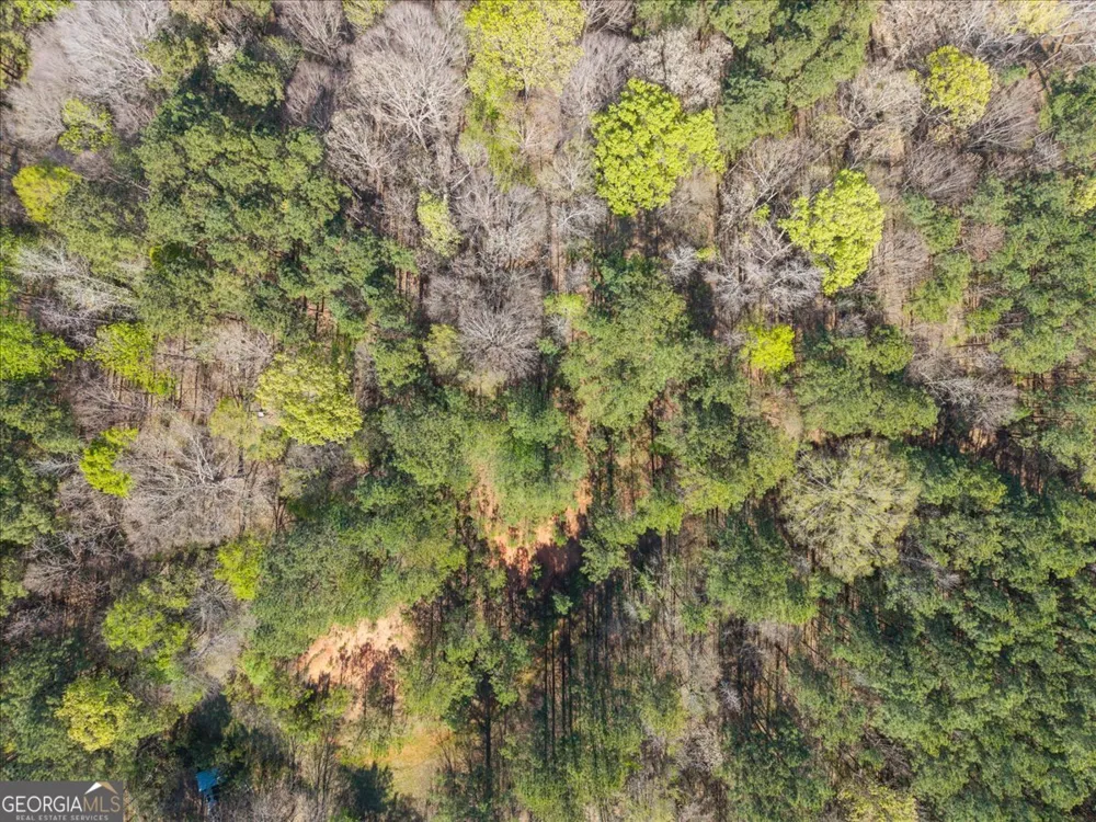 198 +/- ACRES Apalachee Woods TRL Buckhead, GA 30625