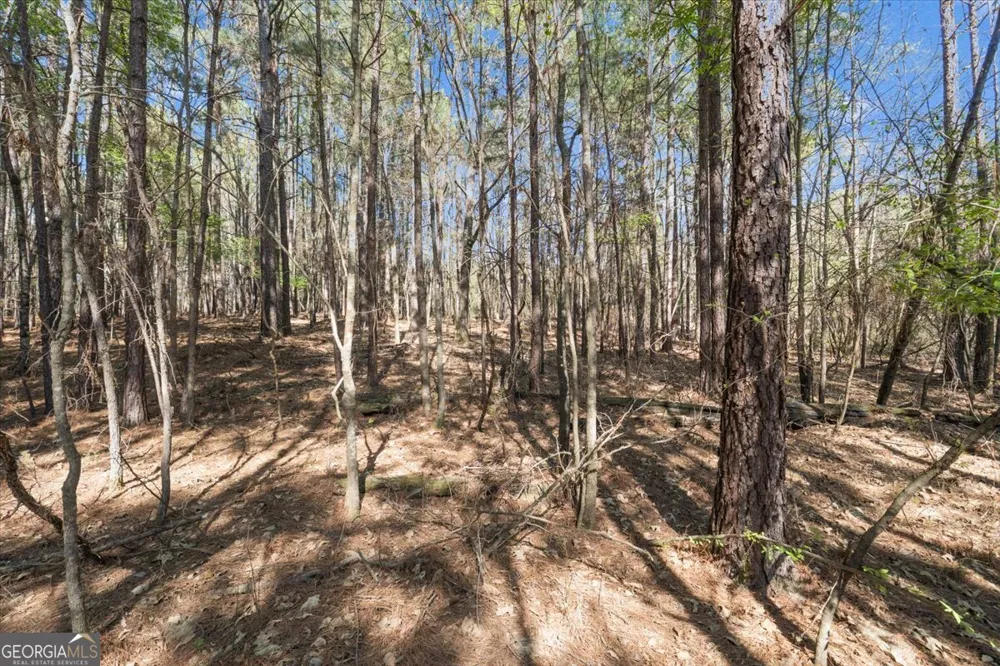 198 +/- ACRES Apalachee Woods TRL Buckhead, GA 30625