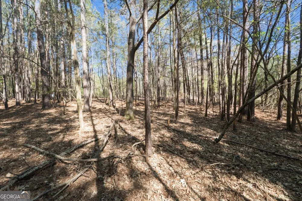 198 +/- ACRES Apalachee Woods TRL Buckhead, GA 30625