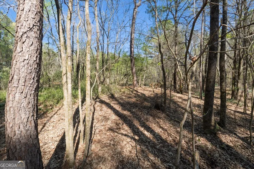 198 +/- ACRES Apalachee Woods TRL Buckhead, GA 30625