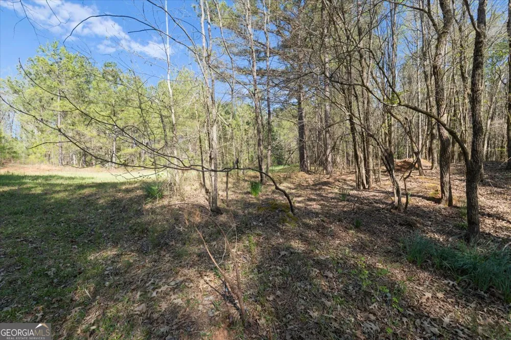 198 +/- ACRES Apalachee Woods TRL Buckhead, GA 30625