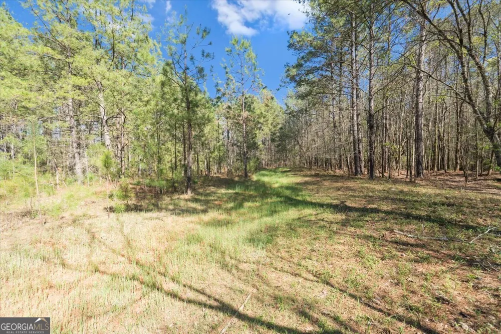 198 +/- ACRES Apalachee Woods TRL Buckhead, GA 30625