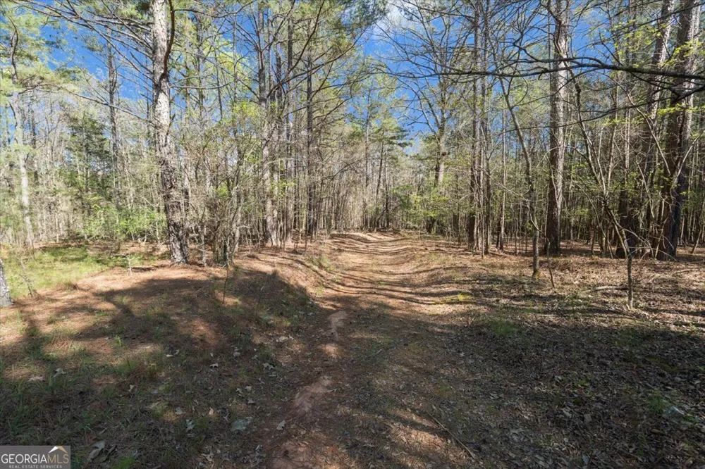 198 +/- ACRES Apalachee Woods TRL Buckhead, GA 30625
