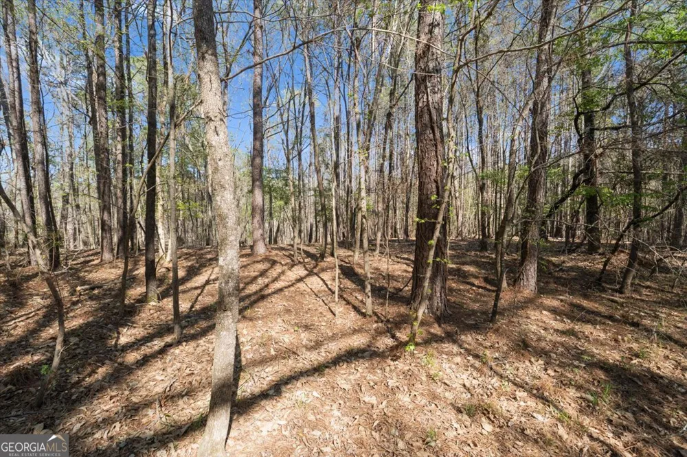 198 +/- ACRES Apalachee Woods TRL Buckhead, GA 30625