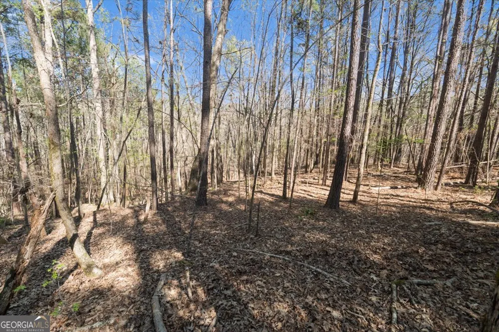 198 +/- ACRES Apalachee Woods TRL Buckhead, GA 30625