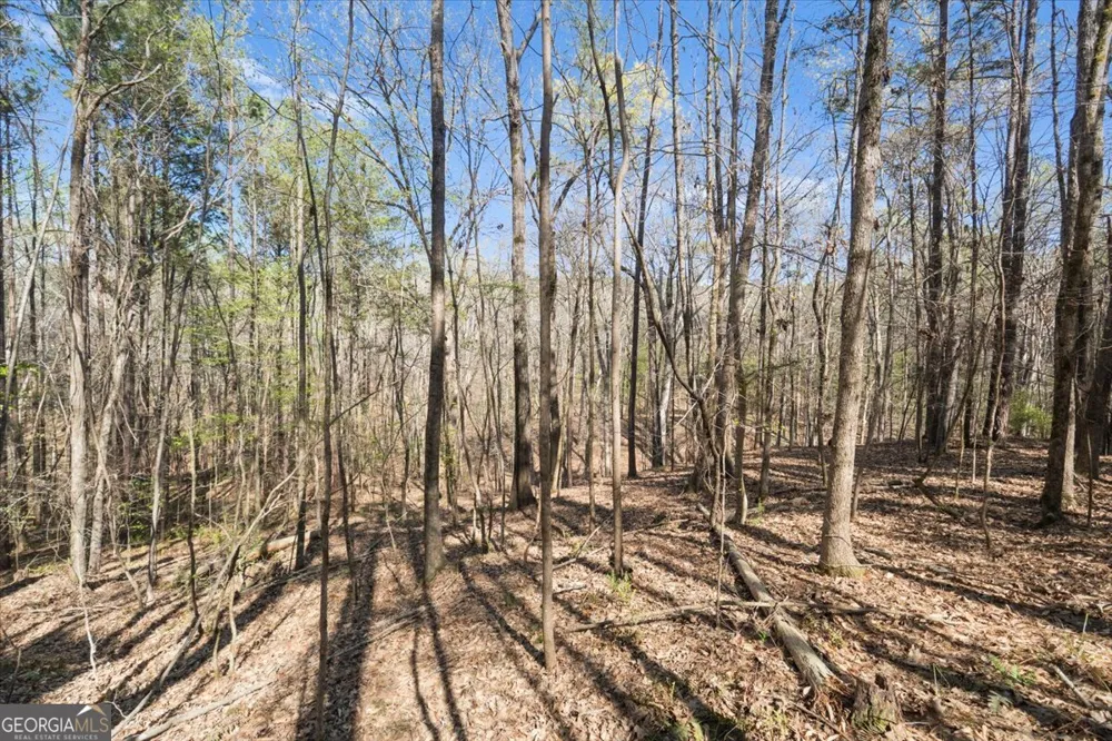 198 +/- ACRES Apalachee Woods TRL Buckhead, GA 30625