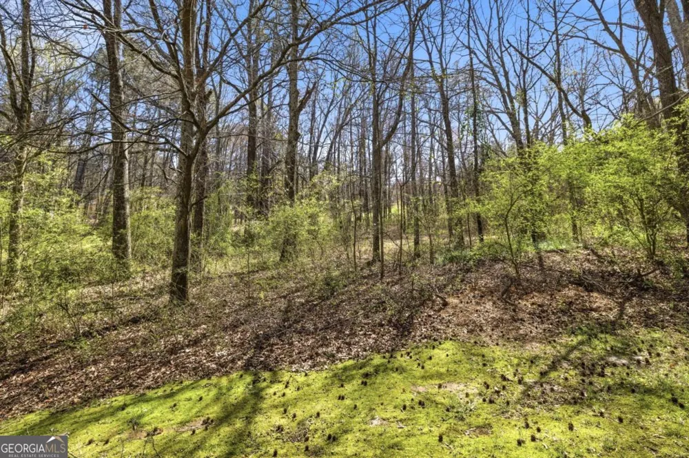 3293 Braselton HWY Dacula, GA 30019