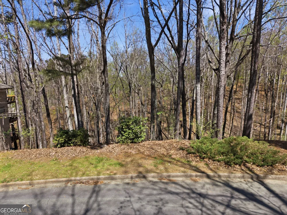 335 N Peak DR Johns Creek, GA 30022