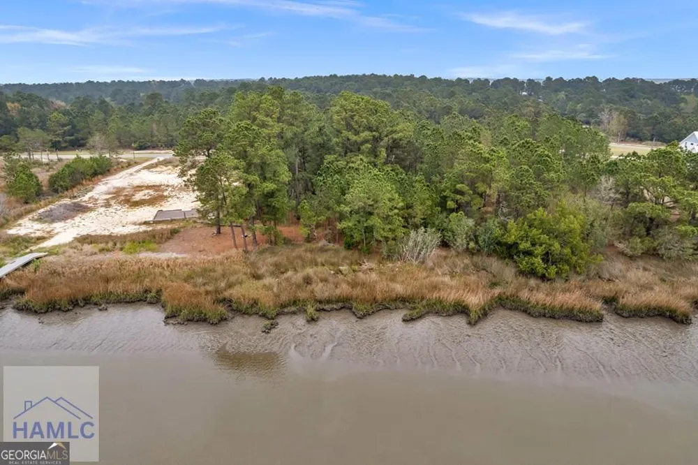 LOT 29 Jerico Marsh RD Midway, GA 31320