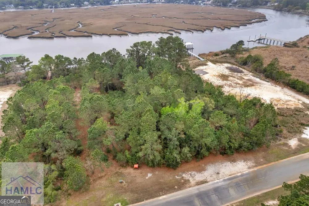 LOT 29 Jerico Marsh RD Midway, GA 31320