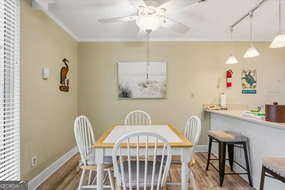 1175 N Beachview DR Jekyll Island, GA 31527